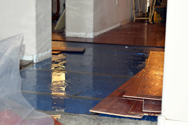 Professional Burst Pipe Cleanup technician working in Oak City, UT